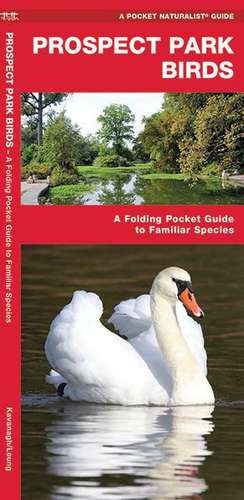 Prospect Park Birds: A Folding Pocket Guide to Familiar Species de Waterford Press