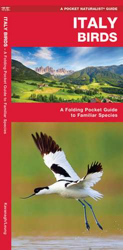 Italy Birds: A Folding Pocket Guide to Familiar Species de James Kavanagh