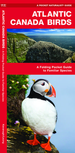 Atlantic Canada Birds: A Folding Pocket Guide to Familiar Species de James Kavanagh