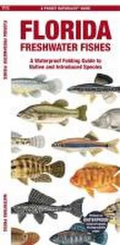 Florida Freshwater Fishes de Matthew Morris