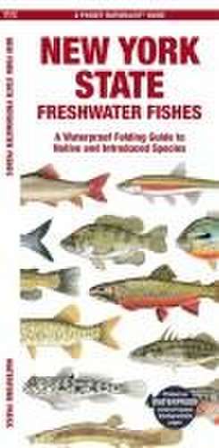 New York State Freshwater Fishes de Matthew Morris