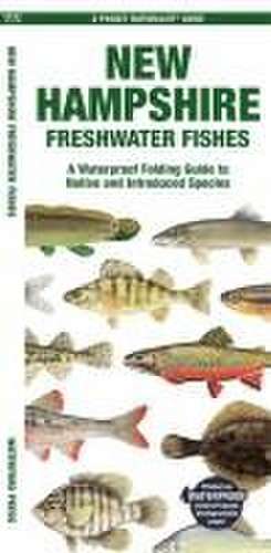 New Hampshire Freshwater Fishes de Waterford Press