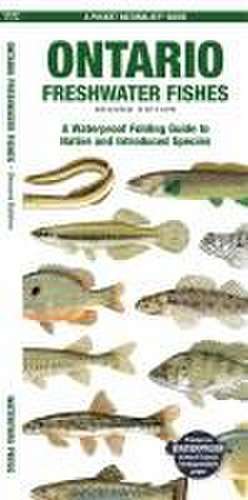 Ontario Freshwater Fishes de Matthew Morris