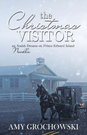 The Christmas Visitor de Amy Grochowski