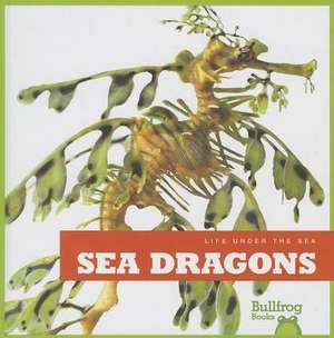 Sea Dragons de CARI MEISTER