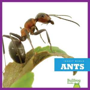 Ants de Mari C. Schuh