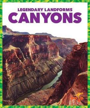 Canyons de Rebecca Pettiford