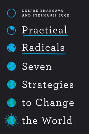 Practical Radicals de Deepak Bhargava