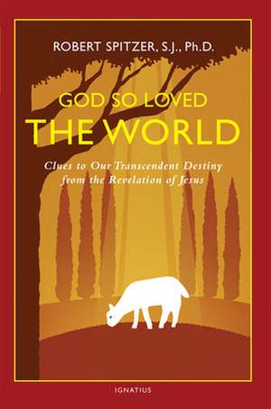 God So Loved the World: Clues to Our Transcendent Destiny from the Revelation of Jesus de Fr Robert J. Spitzer