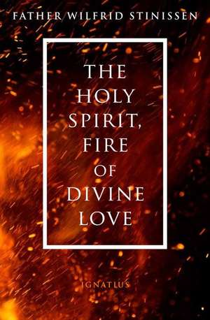 The Holy Spirit, Fire of Divine Love de Wilfred Stinissen