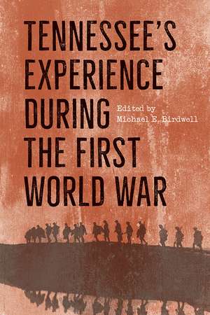 Tennessee's Experience during the First World War de Michael E. Birdwell