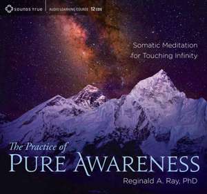 The Practice of Pure Awareness: Somatic Meditation for Touching Infinity de Reginald A. Ray