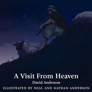 A Visit from Heaven: An Everyday Guide to the Bible de David Anderson