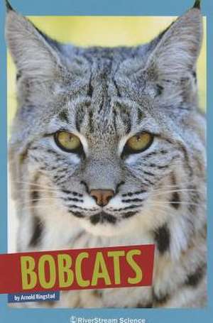 Bobcats de Arnold Ringstad