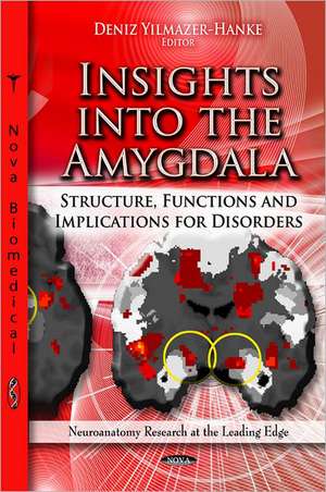 Insights into the Amygdala de Deniz Yilmazer-Hanke