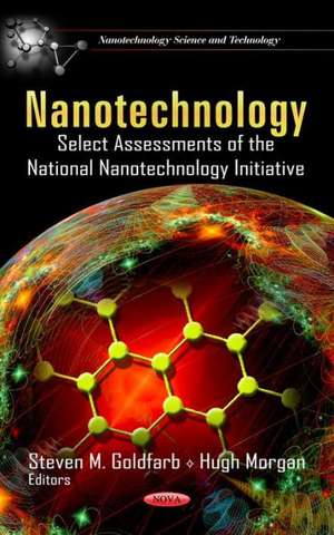 Nanotechnology de Steven M. Goldfarb