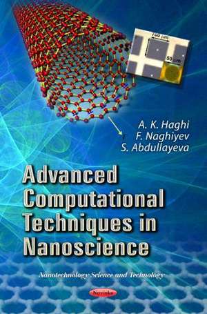 Advanced Computational Techniques in Nanoscience de A. K. Haghi