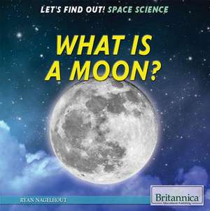 What Is a Moon? de Ryan Nagelhout