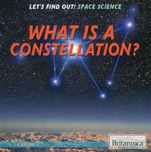 What Is a Constellation? de Laura Loria