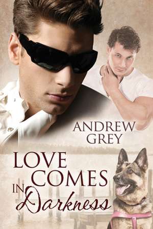 Love Comes in Darkness de Andrew Grey