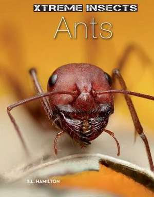 Ants de S. L. Hamilton