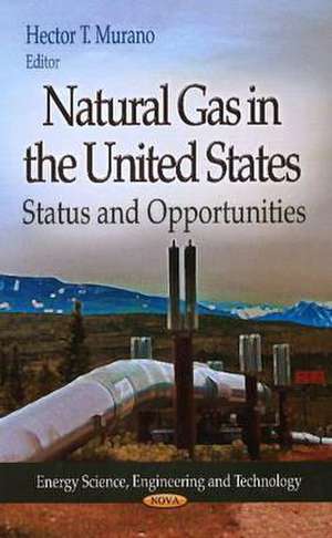 Natural Gas in the United States de Hector T. Murano