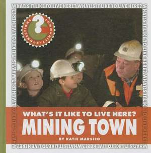 What's It Like to Live Here? Mining Town de Katie Marsico