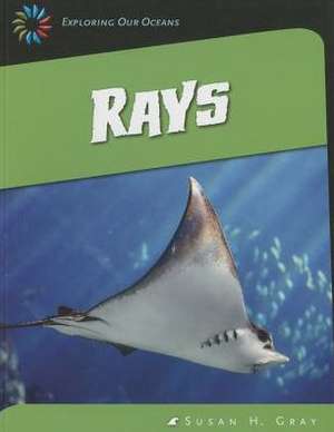 Rays de Susan H. Gray