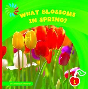 What Blossoms in Spring? de Jenna Lee Gleisner