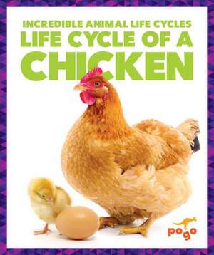 Life Cycle of a Chicken de Karen Kenney