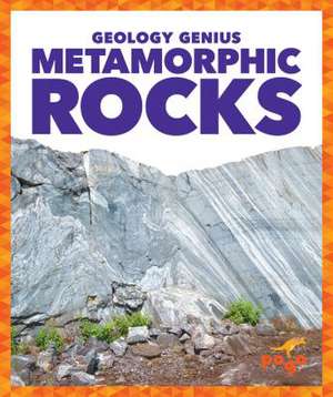 Metamorphic Rocks de Rebecca Pettiford