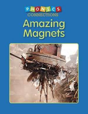 Amazing Magnets de Wiley Blevins