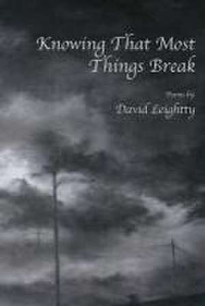 Knowing That Most Things Break de David Leightty