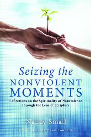 Seizing the Nonviolent Moments de Nancy Small