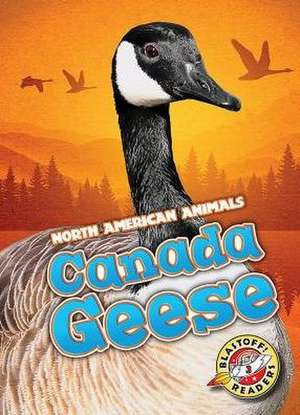 Canada Geese de Megan Borgert-Spaniol