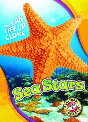 Sea Stars de Rebecca Pettiford