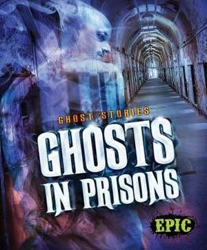 Ghosts in Prisons de Lisa Owings