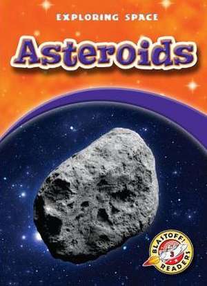 Asteroids de Derek Zobel