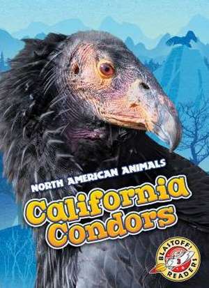 California Condors de Rebecca Sabelko