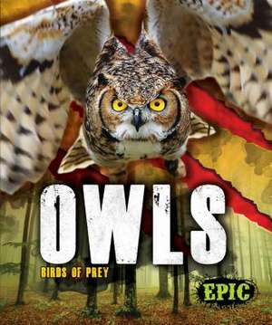 Owls de Nathan Sommer