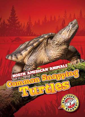 Common Snapping Turtles de Rebecca Sabelko