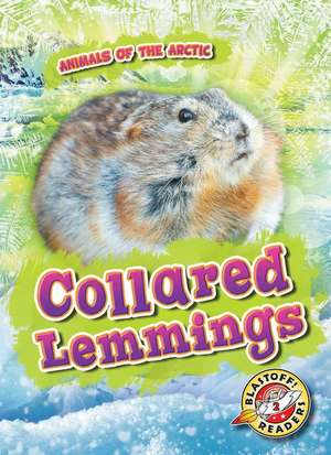 Collared Lemmings de Rebecca Pettiford