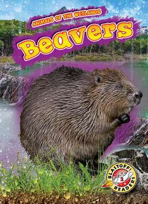 Beavers de Rachel Grack