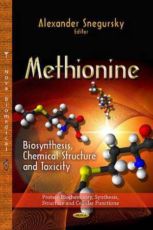 Methionine de Alexander Snegursky