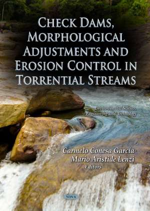 Check Dams, Morphological Adjustments and Erosion Control in Torrential Streams de Carmelo Consesa Garcia