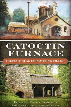 Catoctin Furnace: Portrait of an Iron Making Village de Elizabeth Anderson