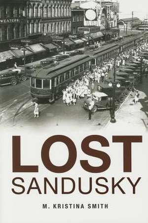 Lost Sandusky de M. Kristina Smith