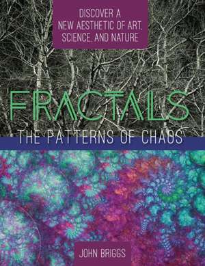 Fractals: Discovering a New Aesthetic of Art, Science, and Nature (a Touchstone Book) de John Briggs