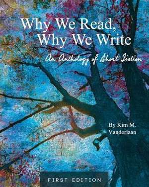 Why We Read, Why We Write de Kim M. Vanderlaan