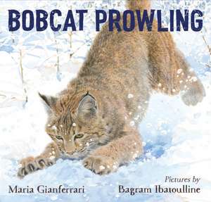 Bobcat Prowling de Maria Gianferrari